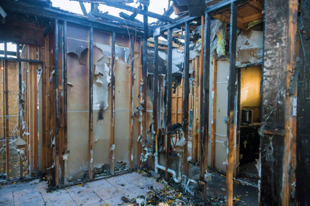 Professional Structural Rebuild technician working in Wheaton, IL